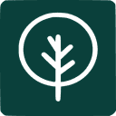 Silvi logo